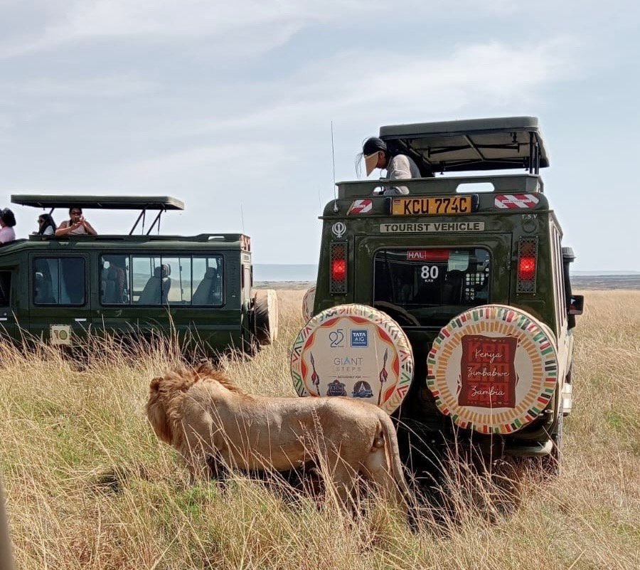 Safari Gallery Image