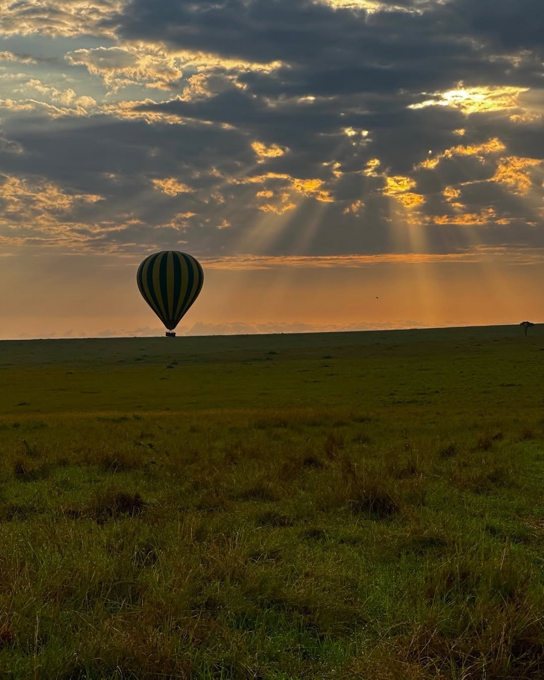 Hot Air Balloon